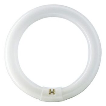 CIRCOLINA NEON 220V 32W LUCE 6500K T9 G10q 32W