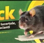 COLLA PER TOPI RATTI TRAPPOLA ADESIVA STRISCIANTI INSETTI NON VELENOSA INODORE