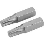 INSERTO TORX X AVVITATORE 2103 WOKIN TXMM 10X25 CF=PZ 2 210310