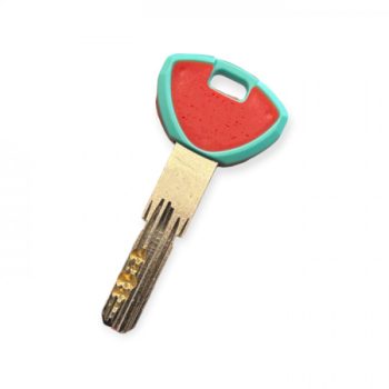 CHIAVE CILINDRO EUROPEO A CODICE SECUREMME EVOK18P