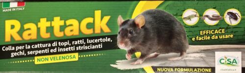 COLLA PER TOPI RATTI TRAPPOLA ADESIVA STRISCIANTI INSETTI NON VELENOSA INODORE