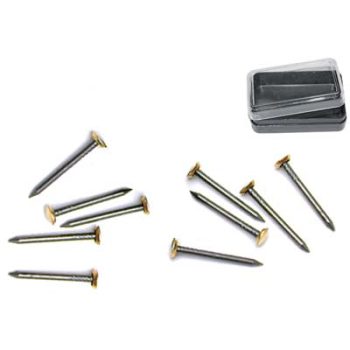 CHIODO TESTA OTTONE PRONTY
ACCIAIO MM 25 CF=PZ 15
